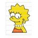ADHESIVO LISA
